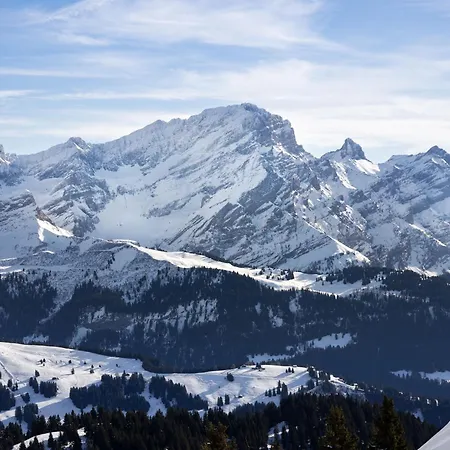 Le Bristol A28 By Interhome