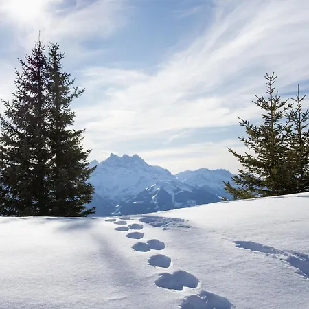 Apartament Le Bristol A28 By Interhome Villars-sur-Ollon