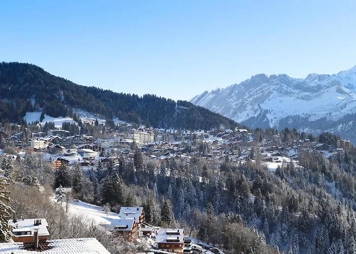 Le Bristol A28 By Interhome Villars-sur-Ollon