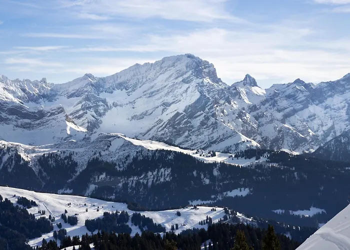 Le Bristol A28 By Interhome