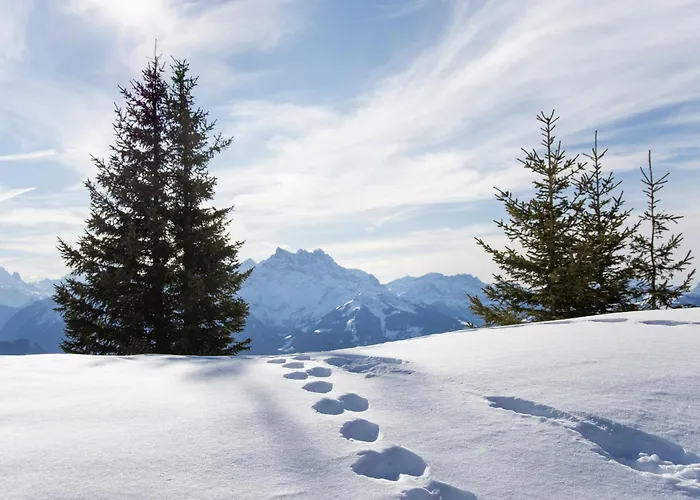 Апартаменты Le Bristol A28 By Interhome Вилларс-Сур-Оллон