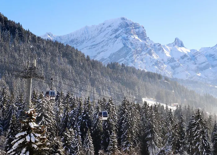 Le Bristol A28 By Interhome *